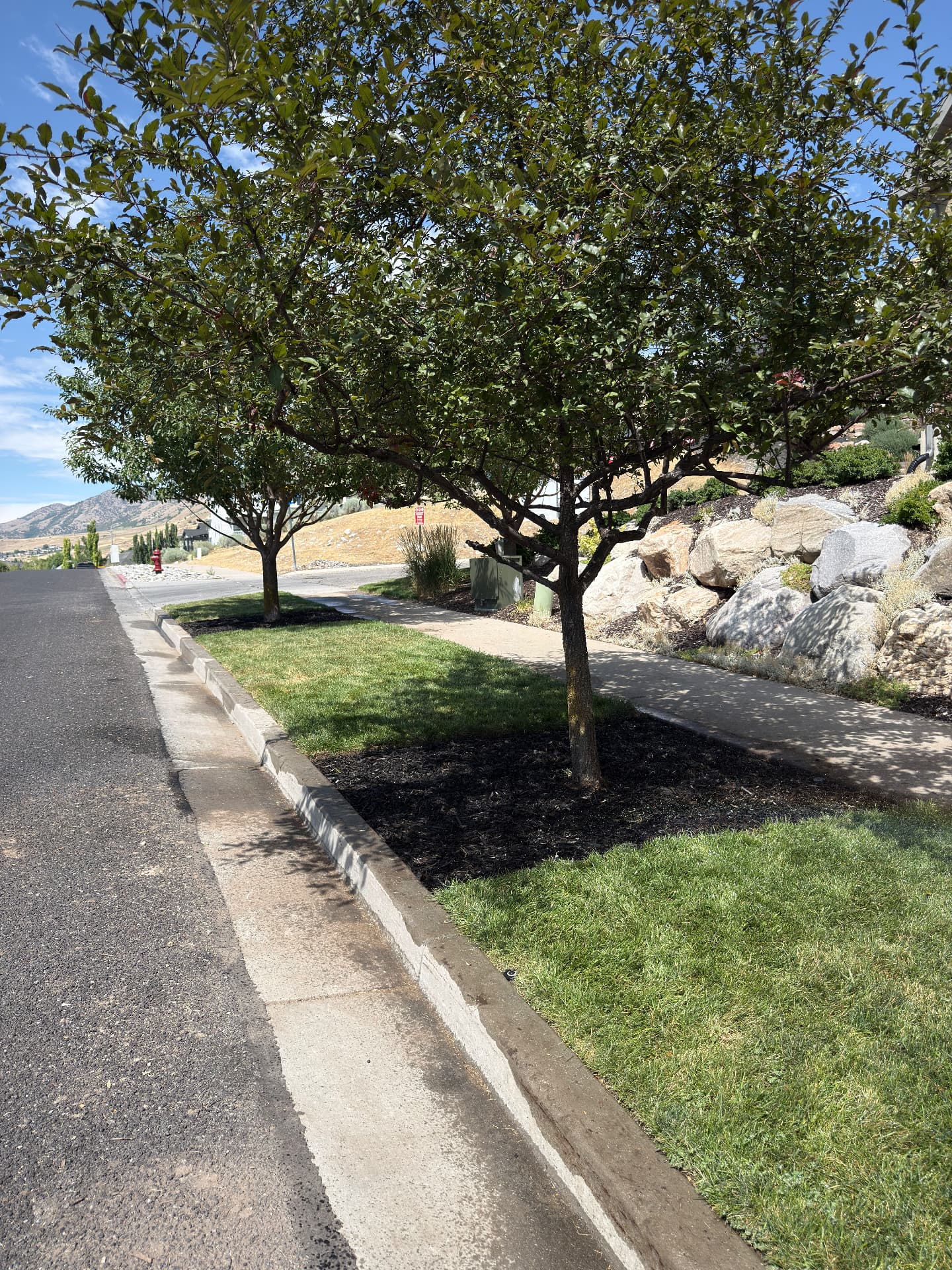 Fall Cleanups service by Starline Dirtworks
